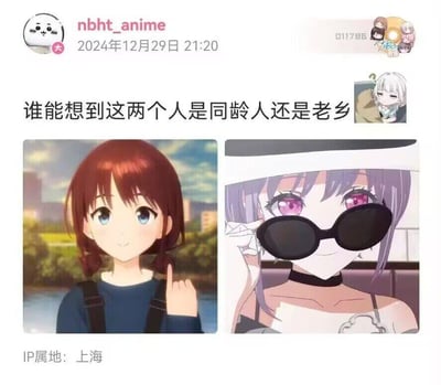 这是一张二次元相关的社交媒体发布内容截图，发布者账号为nbht_anime，于2024年12月29日21:20发布，IP属地为上海。内容中配文“谁能想到这两个人是同龄人还是老乡”，并拼接了两张动画角色截图：左侧是《我心里危险的东西》里扎双马尾、穿深蓝色上衣的山田杏奈，她表情乖巧，对着镜头比出一根手指，气质软萌；右侧是《碧蓝档案》里戴黑墨镜、紫发的砂狼白子，她抬手扶着墨镜，姿态拽酷，气质冷艳。两个角色的画风和气质反差极大，配文点明她们在设定上是同龄人且来自同一地方，这种强烈的反差感构成了梗的笑点，让网友惊讶于看似风格迥异的角色居然有这样的设定关联。
