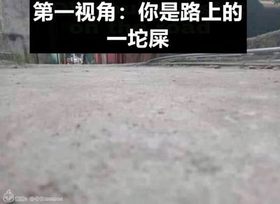这是一张网络恶搞梗图，画面采用极低的视角拍摄地面，模拟出“路上的一坨屎”的第一人称视角，图片顶部用醒目的白色大字标注“第一视角：你是路上的一坨屎”，强行让观看者代入这个荒诞的身份，以此制造出无厘头的自嘲式幽默。画面主体是模糊的灰色路面，远处能看到模糊的建筑边缘，左下角带有微博账号“@今日memes”的水印，整体风格搞笑荒诞，属于典型的网络meme内容，常用于表达自嘲、摆烂的情绪。
