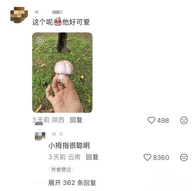 这是一张社交媒体评论区的截图，上层用户发布了一张户外拍摄的照片：一只手捏着一颗伞盖为浅白带斑点的野生蘑菇，背景是草地和树干。该用户配文“这个呢😳他好可爱”，发布IP属地为陕西，这条评论获得498个赞。下方来自云南的用户回复“小拇指很聪明”，该回复获赞8360且被发图作者点赞，还显示有362条回复可展开。该内容的梗源自云南地区常见的野生菌安全常识：很多野生蘑菇带有毒性，不宜徒手直接接触，而图中捏蘑菇的手只有小拇指没有碰到蘑菇，因此回复调侃小拇指“聪明”，暗指该蘑菇可能存在毒性，提醒不要随意触碰。