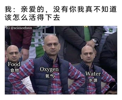 图片上方配有文字“我：亲爱的，没有你我真不知道该怎么活得下去”，下方是三名双手叉腰站立的光头男性，分别被标注为“Food 食物”“Oxygen 氧气”“Water 水源”。整体通过将深情告白与人类生存必需的三大元素进行幽默关联，形成一种反差萌的搞笑效果，调侃了日常中夸张的情感表达与实际生存需求之间的对比。