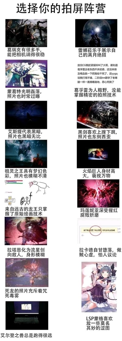 这是一张以游戏《艾尔登法环》角色为主题的多图拼接幽默梗图，标题为“选择你的拍屏阵营”。图中展示了13个游戏角色，每个角色配有一张游戏截图和一段搞笑的“拍照技术”描述，例如“葛瑞克有很多手，能把相机端得很稳”“蕾娜菈乐于展示自己的满月绝招”“黑剑最喜欢上蹿下跳，照片也东倒西歪”等。通过将角色的标志性特征与“拍照技术”巧妙结合，形成反差萌的搞笑效果，整体风格轻松诙谐，深受游戏玩家喜爱。