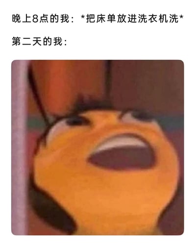 这是一张吐槽日常健忘行为的梗图，上方文字描述“晚上8点的我：*把床单放进洗衣机洗*”，模拟自己晚上将床单放入洗衣机准备清洗的行为，下方搭配了一张表情极度扭曲、大张嘴巴的卡通角色图，用来代表第二天的自己，此时的自己应该是完全忘记启动洗衣机，或是忘记把洗好的床单取出，用夸张崩溃的表情，生动表现出这种健忘后懊恼、后悔的情绪，精准贴合了很多人日常生活中丢三落四、粗心健忘的经历，容易引发共鸣。