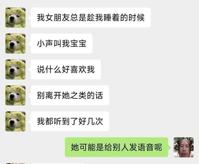 图片是微信聊天截图，狗头雪橇犬在对话里吐槽女朋友总是在他快睡着的时候小声叫他‘宝宝’，说喜欢他、不要离开她等肉麻话，自己已经听到好多次。结果对面朋友一针见血地回复‘她可能是给别人发语音呢’，冷静反转、打破美好幻想，让情绪瞬间转为失落和自嘲，充满网络幽默、恋爱话题、扎心反差感和凡尔赛味道。