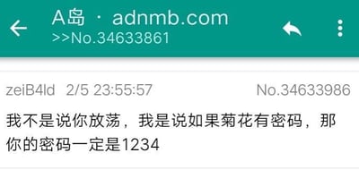 这是A岛（adnmb.com）匿名论坛的帖子截图，用户zeiB4ld在2月5日23:55:57发布了一条玩梗内容：“我不是说你放荡，我是说如果菊花有密码，那你的密码一定是1234”。该内容用最简单的通用密码1234来调侃对方的隐私部位缺乏保密性，是低俗又搞笑的玩笑。