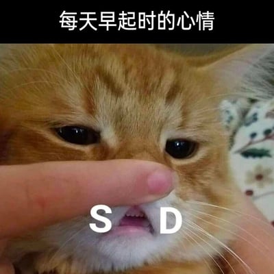 这是一张用于吐槽早起痛苦的趣味表情包，图片主体是一只眼神惺忪、神态萎靡的橘猫，它的鼻子被人类手指按住，嘴巴两侧被添加了字母“S”和“D”，模拟出猫咪仿佛在表达“难受”（SD为“难受”的拼音首字母）的状态，图片顶部配文“每天早起时的心情”，精准地戳中了人们早起时不情愿、萎靡不振、痛苦抗拒的情绪，非常贴合日常不想起床的真实感受，适合在社交媒体上分享，用来抒发对早起的吐槽。