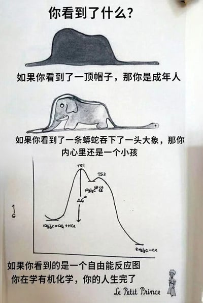 图片为一张手绘风格的图文混排页面，顶部以“你看到了什么?”引发提问。上方是一个黑色不规则形状，配文“如果你看到了一顶帽子，那你是成年人”；中间是一幅蟒蛇吞下大象的线稿图，配文“如果你看到了一条蟒蛇吞下了一头大象，那你内心里还是一个小孩”；底部是带有化学公式的自由能反应曲线图，配文“如果你看到的是一个自由能反应图 你在学有机化学，你的人生完了”。右下角有“Le Petit Prince”字样及小王子的简笔画，整体通过不同视觉解读引发不同身份群体的共鸣与调侃。