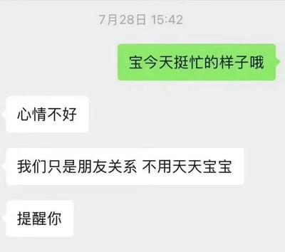 该图片为聊天记录截图，显示了一段对话场景。界面顶部有时间戳“7月28日 15:42”，绿色气泡消息为“宝今天挺忙的样子哦”，随后是三条白色气泡消息，依次为“心情不好”“我们只是朋友关系 不用天天宝宝”“提醒你”。整体呈现了一方对另一方以“宝宝”相称的回应，明确强调双方仅为朋友关系，带有情感边界提醒的意味。