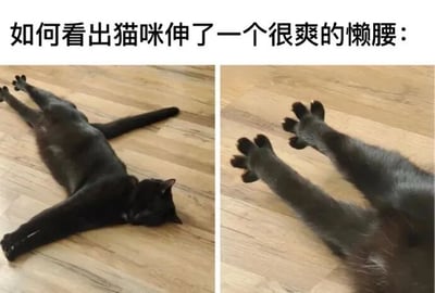 图片为左右对比的静态图，上方配有文字'如何看出猫咪伸了一个很爽的懒腰：'。左侧图中一只黑猫仰卧在木地板上，四肢完全伸展，身体呈大字型，双眼紧闭，表情十分放松；右侧图为特写镜头，聚焦于黑猫伸展的前爪，肉垫清晰可见，展现出猫咪伸懒腰时的舒适状态。整体画面温馨治愈，生动呈现了宠物放松时的可爱瞬间。