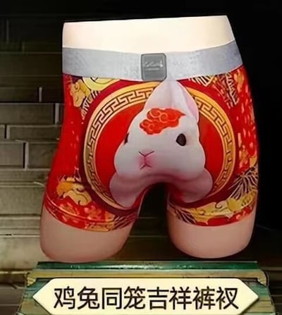 图片展示了一条创意红内裤，主体为红色，中央印有一只卡通兔子图案，兔子面部恰好位于内裤裆部位置，形成趣味视觉效果。兔子周围环绕金色传统花纹、云纹和圆形边框，充满中国风元素。内裤下方有文字标注“鸡兔同笼吉祥裤衩”，背景是石阶，整体设计将传统吉祥文化与幽默创意结合，利用“鸡兔同笼”的经典数学题梗制造笑点，兼具喜庆与趣味性。