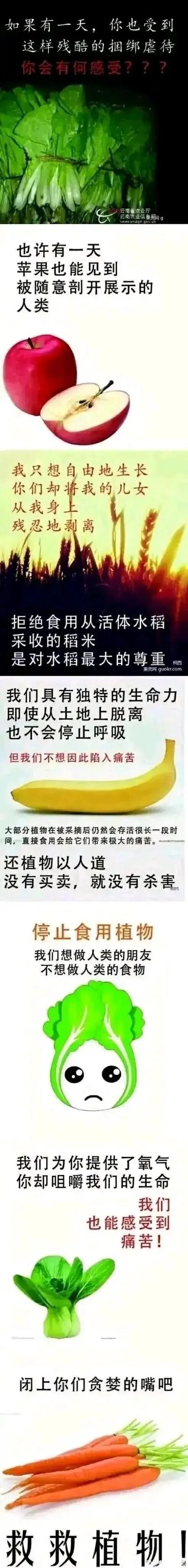 这是一张竖版超长的图文混排创作图，整体采用拟人化的核心手法，将青菜、苹果、水稻、香蕉、白菜、胡萝卜等多种常见食用植物赋予人类的情感与视角，模仿极端动物保护主义者的控诉口吻，依次“控诉”人类的行为：将青菜捆绑售卖是“残酷虐待”，剖开苹果展示是不尊重，采摘稻穗是“残忍剥离儿女”，采摘食用植物是让其陷入痛苦，甚至提出“拒绝食用活体水稻采收的稻米”“停止食用植物”“救救植物”等夸张的呼吁。作品通过这种荒诞的类比，反向讽刺极端动物保护、极端素食主义者的不合理逻辑，指出若按照其逻辑延伸，人类将无法进行正常的饮食行为，凸显这类观点的荒谬性，整体风格幽默戏谑，充满反讽意味。