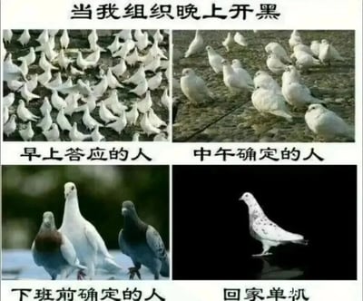 这是一张四格图文混排梗图，主题为“当我组织晚上开黑”。左上角第一格标注“早上答应的人”，画面是密密麻麻一群白鸽；右上角第二格“中午确定的人”，白鸽数量明显减少；左下角第三格“下班前确定的人”，仅剩几只不同颜色的鸽子；右下角第四格“回家单排”，则只有一只孤零零的白鸽站在黑色背景中。通过鸽子数量随时间锐减的对比，幽默展现了组织游戏时朋友不断“放鸽子”（爽约），最终只能独自单排的无奈经历。