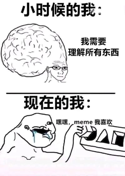 图片为上下两格的连环对比图。上格标题“小时候的我”，画中人物顶着巨大且纹理清晰的大脑，戴着眼镜，表情认真，配文“我需要理解所有东西”，展现出孩童时期对世界充满好奇、追求全面理解的心态。下格标题“现在的我”，人物形象简化，表情呆滞并流着口水，正手持类似手机的设备，配文“嘿嘿，meme 我喜欢”，形成与童年时期的鲜明对比，幽默地表达了长大后从追求深度理解转变为享受轻松meme文化的心态变化。
