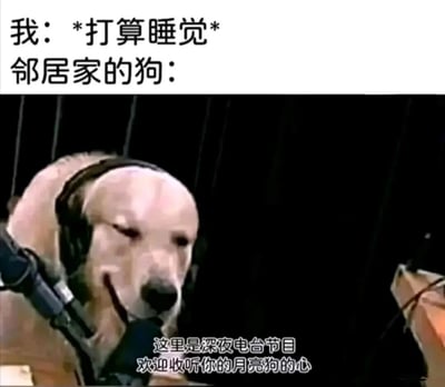 图片上方文字描述“我: *打算睡觉* 邻居家的狗:”，下方是一只戴着耳机、对着麦克风的狗，配文“这里是深夜电台节目 欢迎收听你的月亮狗的心”。通过拟人化手法，幽默展现了想睡觉时被邻居家狗叫声打扰的无奈场景，用“深夜电台”的创意比喻狗叫声不断，引发共鸣。
