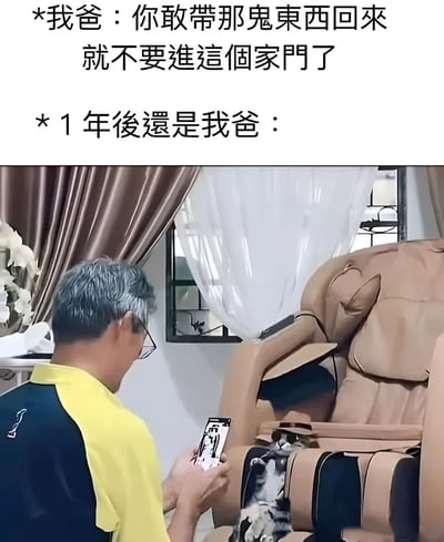 这张梗图展示了典型的"真香"现象。上半部分文字显示父亲坚决反对带"鬼东西"回家，而下半部分的照片则显示一年后，同一位父亲正坐在按摩椅上，旁边是戴着帽子的猫，父亲正专注地看着手机，形成有趣的对比和反转。