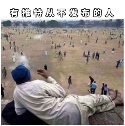 这是一张利用视觉错位效果制作的梗图，前景中一位戴着蓝色帽子的男子惬意地躺着抽烟，借助拍摄角度，下方远处的人群看起来仿佛在他的“脚下”，营造出巨人俯瞰众生的错觉。上方配文“有推特从不发布的人”，精准调侃了那些注册社交平台账号后，只潜水围观他人动态、自己从不发布内容的用户，用画面里“众人皆忙我独闲”的强烈反差，生动展现这类人的旁观者心态。