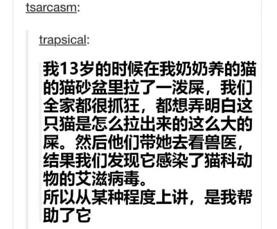 一张纯文字搞笑梗图，内容讲述了13岁时在奶奶养的猫的猫砂盆里拉屎，导致全家误以为是猫拉出的大屎而带猫去看兽医，结果发现猫感染了猫科动物艾滋病毒，最后幽默地表示“从某种程度上讲，是我帮助了它”。整体风格荒诞又搞笑，通过童年糗事引发笑点。