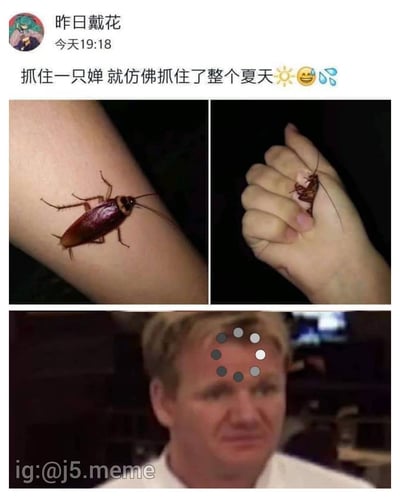 该图为多图拼接的社交媒体梗图，上方左右两图分别展示蟑螂（小强）趴在手臂上和被人用手指捏住的画面，下方为一名额头带有多个灰色圆点标记的男子，表情困惑。配文“抓住一只蝉 就仿佛抓住了整个夏天☀️😅💦”，通过将“蝉”替换为“小强”（蟑螂）制造幽默反差，用常见的夏日抒情句式搭配令人不适的蟑螂形象，形成搞笑效果。