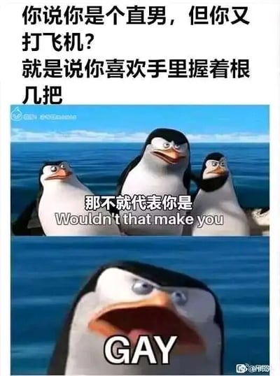 这是一张多图拼接的连环恶搞梗图，使用了《马达加斯加的企鹅》的动画截图作为素材。图中通过设置逻辑陷阱的低俗梗来制造笑点：首先以旁白文字抛出“你说你是个直男，但你又打飞机？就是说你喜欢手里握着根几把”的疑问，接着中间的企鹅配文“那不就代表你是 Wouldn't that make you”，最后下方的企鹅张大嘴巴，以夸张的表情配文“GAY”，通过偷换概念的错误推理，将“打飞机”的行为低俗地和性取向关联，属于网络上常见的恶搞meme图，用荒诞的逻辑调侃他人。