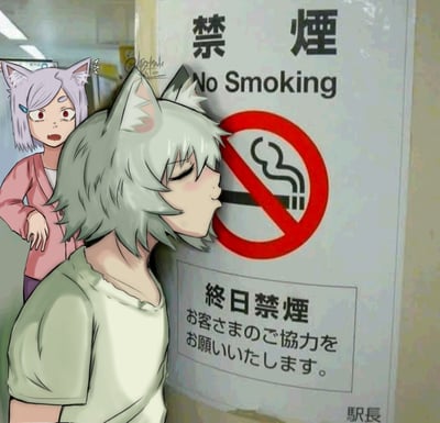 这是一幅卡通风格的原创插画，画面右侧是公共场所的禁烟标识，标识上有繁体中文“禁煙”、英文“No Smoking”，搭配红色禁止符号覆盖的香烟图案，下方还有日文提示全程禁烟、请求乘客配合的内容，右下角标注有“駅長”字样。画面前景是一名浅灰色短发的猫耳少年，他闭着眼睛噘起嘴，凑到禁烟标识上的香烟图案位置，仿佛正在吸食标识上的香烟，神态显得十分惬意。少年的身后站着一名浅紫色短发的猫耳少女，她露出非常震惊错愕的表情，刚好撞见了少年的迷惑行为。整张图利用视觉错位制造笑点，将标识上的图案当作真实物品互动，营造出荒诞诙谐的效果。