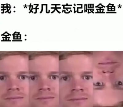 图片上半部分为文字“我：*好几天忘记喂金鱼*”，下半部分以“金鱼：”为引导，展示了一系列逐渐扭曲变形的人脸图像，通过面部表情从正常到极度夸张的变化，幽默地模拟了金鱼被主人遗忘喂食多日后可能产生的夸张反应，整体风格轻松搞笑，用夸张手法放大了日常疏忽带来的趣味想象。