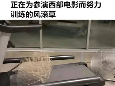 暂无描述