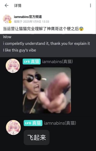 这是iamnabins官方频道发布的动态，记录了虚拟主播iamnabins(真猫)在运营的讲解下理解了网络热梗'神鹰哥'后，立刻开始玩梗的过程：先用英文表达自己完全理解并喜欢这个梗，接着发出神鹰哥经典的指人表情包，最后配文'飞起来'，完美复刻神鹰哥的标志性台词，整个过程充满趣味，展现了虚拟主播玩梗的反差感。神鹰哥的梗源自网络上的一段夸张视频，其激动的指人动作和'飞起来'的台词被做成表情包广泛传播。