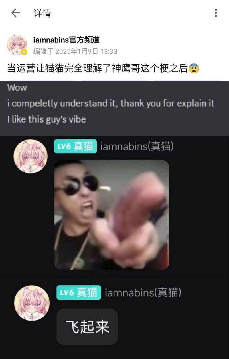 神鹰哥