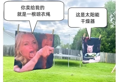 后院晾衣绳上挂着两张图片，左边是一位愤怒的女性指着前方，右边是一只猫坐在餐桌前。女性说'你卖给我的就是一根晾衣绳'，而猫则回应'这是太阳能干燥器'。图片通过将普通晾衣绳幽默地称为'太阳能干燥器'来制造笑点，讽刺了商家对普通产品的过度包装和营销。