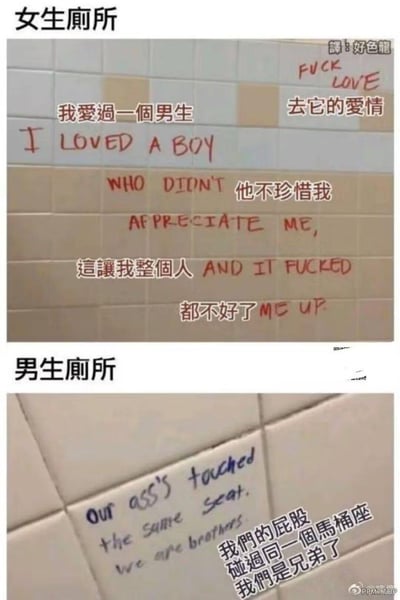这张图是上下拼接的对比类梗图，上半部分是女生厕所的瓷砖墙涂鸦，用中英文写下了遭遇不被珍惜的感情后的emo倾诉：英文原文为“FUCK LOVE
I LOVED A BOY
WHO DIDN'T APPRECIATE ME,
AND IT FUCKED ME UP.”，搭配中文翻译“去它的爱情
我爱过一个男生
他不珍惜我
这让我整个人都不好了”，满是情感创伤的宣泄；下半部分是男生厕所的涂鸦，画风突变，英文原文“Our ass's touched the same seat. we are brothers.”，中文翻译为“我们的屁股碰过同一个马桶座，我们是兄弟了”，用无厘头的沙雕社交逻辑，和女生的情感倾诉形成强烈反差，精准调侃了男女在情感表达与社交思维上的巨大差异，搞笑感拉满。