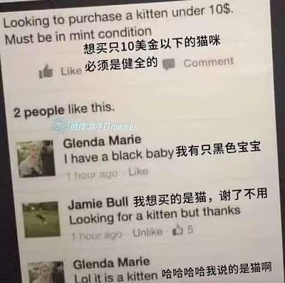 这是一张国外社交平台的帖子截图，发帖人发布求购信息，想要一只10美元以下、健康的小猫。用户Glenda Marie回复称自己有只“black baby”，发帖人Jamie Bull误以为对方误解了需求，以为对方说的是黑人宝宝，便回复表示自己要的是猫不需要，结果Glenda Marie解释自己说的就是黑色的小猫咪，由此产生了一场因英文双关引发的搞笑误会。
双关说明：英文里“black baby”既可以指代黑人婴儿，也可以用来称呼黑色的幼猫，双方的误解正是源于这个短语的双重含义。