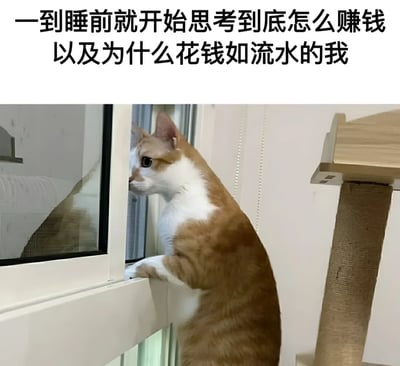 图片上方有一行黑色文字："一到睡前就开始思考到底怎么赚钱以及为什么花钱如流水的我"。下方是一只橘白相间的猫站立在窗台上，前爪搭在窗框上，正专注地望向窗外。猫的右侧有一个猫爬架。整个图片通过猫望向窗外沉思的姿态，幽默地表达了人们睡前常常思考赚钱和花钱问题的普遍现象。