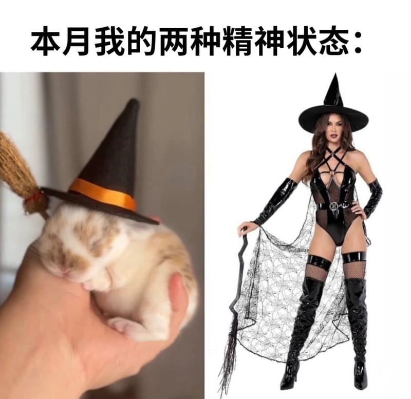 小兔子
