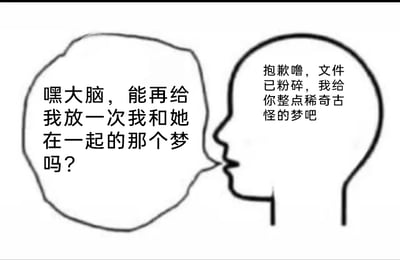 这是一幅黑白线稿类的趣味梗图，采用带对白气泡的拟人化对话形式，将意识和大脑具象化进行互动。意识带着期许向大脑提出请求，希望能重播自己和在意的人共处的美好梦境，大脑则以“文件已粉碎”为由表示无法实现，还调侃称只能为意识制造一些稀奇古怪的梦。图中用“文件粉碎”来比喻美好梦境无法重现的状态，幽默又形象地戳中了人们想重温美梦却不可得的无奈，同时也调侃了大脑时常产生荒诞梦境的特点，容易引发有类似经历的网友共鸣。