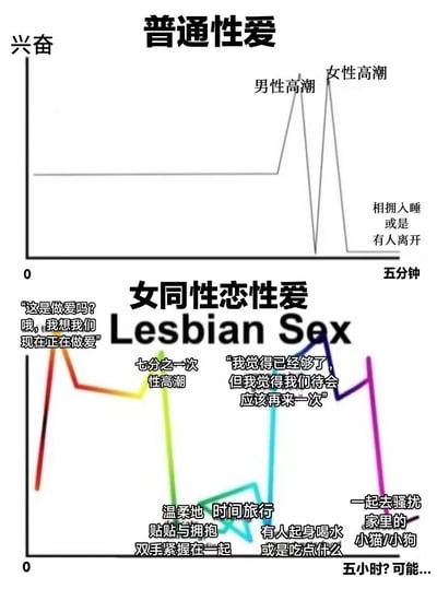 这张图片是一个对比图表，上方展示了“普通性爱”的兴奋度曲线，显示男性高潮和女性高潮先后出现后迅速下降，五分钟后结束于“相拥入睡或是有人离开”。下方展示了“女同性恋性爱”的复杂兴奋度曲线，包含“七分之一一次性高潮”、“温柔地贴贴与拥抱双手紧握在一起”、“时间旅行有人起身喝水或是吃点什么”等多个阶段，最后在“五小时?可能...”时以“一起去骚扰家里的小猫/小狗”结束。图中还包含对话文本：“这是做爱吗?哦,我想我们现在正在做爱”和“我觉得已经够了,但我觉得我们待会应该再来一次”。