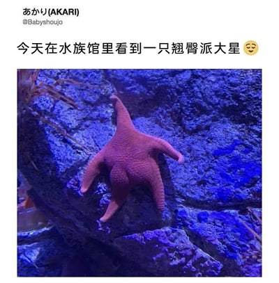 暂无描述