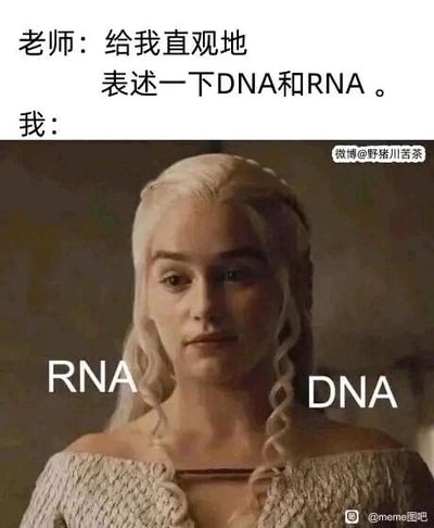 这是一张趣味生物科普的改编梗图，上方设置了老师的提问场景：“给我直观地表述一下DNA和RNA。”，下方用美剧《权力的游戏》中丹妮莉丝·坦格利安（龙妈）的剧照作为回应，将人物两侧不同的发型分别标注为RNA和DNA——RNA是单链结构，对应人物一侧自然散开的单缕头发；DNA是双链螺旋结构，对应人物另一侧编起的双股螺旋状辫子，用这种形象的视觉类比，把抽象的生物结构知识变得直观易懂，同时结合影视IP增加了趣味性。