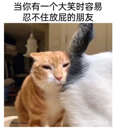 这是一张搞笑表情包，上方配有文字“当你有一个大笑时容易忍不住放屁的朋友”。图中一只橘色猫咪半眯着眼睛，露出嫌弃又生无可恋的表情，将脸贴在另一只黑白猫的臀部位置，生动还原了在朋友出现这种小尴尬状况时，当事人或旁观者那种尴尬、嫌弃又哭笑不得的心情，用猫咪的真实神态来调侃生活中这类好笑又有点社死的朋友间趣事，十分生动形象。