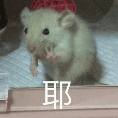 一只白色的小老鼠站立起来，举起两只前爪，仿佛在做庆祝的手势。老鼠身后有一个红色的网格球，背景是浅色的垫子。图片底部有一个醒目的白色"耶"字，与老鼠的姿势相呼应，营造出可爱又欢乐的氛围。