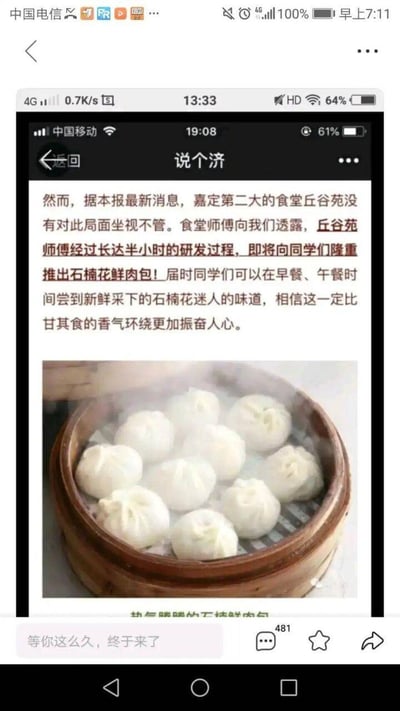 这是一张手机屏幕截图，显示了一篇标题为“说个济”的新闻文章。内容提到嘉定第二大食堂丘谷苑的师傅经过半小时研发，即将推出“石桶花鲜肉包”，称可在早餐和午餐时段供应，味道比甘其食更振奋人心。文章下方配有一张蒸笼里冒着热气的白色包子图片。截图底部有一条评论“等你这么久，终于来了”，并显示有481个点赞。
