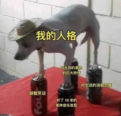 图片中一只戴着草帽的小狗，后腿站立在多个易拉罐（包括可口可乐和芬达罐）上，姿态略显不稳。图片上方有黄色文字“我的人格”，周围分布着描述不同人格特质的文字：“对无用的事物的巨大热情”“对生活的消极态度”“弱智笑话”“听了10年的某种音乐类型”。通过小狗在易拉罐上摇摇欲坠的滑稽形象，隐喻人格中多种矛盾特质的共存，以幽默方式展现人格的复杂性和自嘲感。