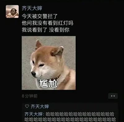 这是一张模拟微信朋友圈的社交媒体截图，发布者昵称是“齐天大婶”。动态内容为分享自己被交警拦下的趣事：交警询问她是否看到红灯，她耍小聪明回复“看到了 没看到你”，搭配了一张柴犬歪头、表情尴尬的表情包，表情包上标注“尴尬”二字，精准对应自己面对交警时社死又好笑的心情。发布者还在动态下方评论了一连串的“哈哈”，进一步表现出对这个趣事的自嘲与调侃。整个内容通过无厘头的回答制造幽默笑点，用网络表情包增强情绪表达，是典型的熟人社交平台上的搞笑分享内容。