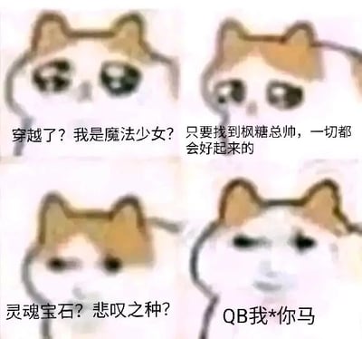 这是一张四格连环的文字加注模板改编图，使用了mur猫的表情包形象，通过四格画面的表情递进和对应文字，演绎了一个穿越者的心理变化：第一格表现角色穿越后的迷茫疑惑，疑惑自己变成了魔法少女；第二格角色寄希望于“枫糖总帅”，认为找到对方就能解决问题；第三格角色联想到《魔法少女小圆》里的灵魂宝石、悲叹之种这些标志性设定；第四格角色意识到是和QB相关，瞬间暴怒，口吐脏话。整个内容玩的是《魔法少女小圆》的反套路魔法少女梗，QB在原作里是欺骗少女成为魔法少女、最终让少女陷入绝望的角色，所以角色的暴怒精准贴合了原作粉丝对QB的吐槽情绪。