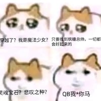 mur猫表情包
