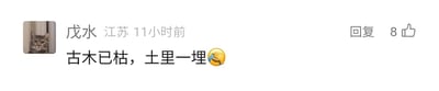 这是一张国内社交媒体平台的评论截图，整体为静态单图。左上角是用户的猫咪头像，用户名为“戊水”，显示所在地为江苏，发布时间标注为11小时前。评论核心内容为“古木已枯，土里一埋”，并附带一个捂脸哭笑的表情，该评论右侧显示有“回复”按钮，且获得了8个点赞。其中评论内容是拆字梗，“枯”字由“古”和“木”组成，“埋”字由“土”和“里”组成，用直白的表述拆解汉字，搭配表情增添了调侃的趣味。