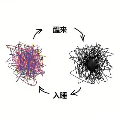 图片展示了一个抽象的睡眠与清醒状态对比。左侧是由红、蓝、黄、紫等多种颜色组成的杂乱线条团，右侧是黑色线条构成的类似图案，中心有一个实心黑色圆点。两个图案通过箭头连接形成循环，上方箭头标注'醒来'，下方箭头标注'入睡'，形象地表达了从睡眠到清醒的状态转换。