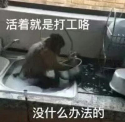 图片中一只猴子坐在厨房的水槽里，正用海绵专注地清洗着碗碟，周围有水渍溅出。图片上方配有文字“活着就是打工咯”，下方配有文字“没什么办法的”，通过猴子洗碗的场景幽默类比打工人的日常，表达了对工作压力的无奈与自嘲，整体风格轻松诙谐，引发职场人士共鸣。