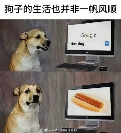 这是一张分为上下两格的梗图，主角是一只狗。在第一格狗坐在电脑前，输入Google搜索“Hot dog”，表情微妙。第二格显示电脑屏幕，搜出来的是热狗（食物），狗显得有些崩溃。配文：“狗子的生活也并非一帆风顺”。

图片暗示了英语词“hot dog”有双关含义，既指热狗，也可拆解为“热的狗”，但实际搜索结果是美式食物“热狗”，让狗感到无奈。

双关及谐音梗说明：英语单词“Hot dog”既是食物，也带有狗的字面意思。