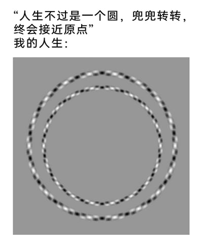 这是一张图文结合的幽默梗图，上方先抛出大众认知里的人生感悟：“人生不过是一个圆，兜兜转转，终会接近原点”，随后以“我的人生：”引出下方的视觉错位图。该图是由黑白相间的点组成的双圆环，属于经典的周边视觉错觉图像，会让观看者产生圆环在动态转动、位置错位的视觉假象。这张梗图通过这种反差，调侃自己的人生并非像“回归原点的圆”那样顺遂闭环，而是陷入一种看似在循环打转，却始终偏离原点、找不到归处的状态，用趣味的视觉错觉形式，精准表达了对自身人生轨迹的自嘲式感悟。