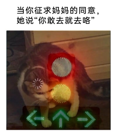 这是一张经过P图改编的搞笑表情包，图中主体是一只表情纠结委屈、低头蜷缩的猫咪，创作者为其添加了亮起的红灯、黄灯交通信号灯图案，猫咪额头还有类似崩溃的放射状图案，下方还有左右和向上的箭头标识。图上方配文“当你征求妈妈的同意，她说‘你敢去就去咯’”，精准还原了妈妈这句话表面允许、实际暗含不满与警告的微妙语气，表现出孩子听到这句话后，陷入纠结、不敢真的行动的为难心情，十分贴合家庭沟通里的这类日常场景，充满趣味。