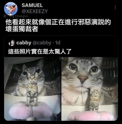 这是一张来自推特（X平台）的社交媒体截图，用户cabby首先发布了一组自家虎斑猫的趣味照片：一只虎斑猫站在粉色猫爬架的平台上，身后是一张和它长相几乎一模一样的大尺寸猫海报。第一张图里猫咪站在海报的“胸口”位置，第二张图猫咪站在海报的“下巴”位置，巧合的视觉错位让猫咪仿佛是巨型猫的化身，像是在进行公开演说。用户SAMUEL转发该内容并调侃评论“他看起来就像個正在進行邪惡演說的壞蛋獨裁者”，cabby则配文“這些照片實在是太驚人了”，用幽默的视角放大了这个巧合的趣味效果，让宠物日常变得充满创意笑点。